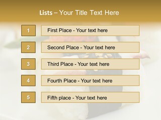 Nori Rolle Sesam PowerPoint Template