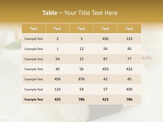 Nori Rolle Sesam PowerPoint Template