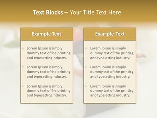 Nori Rolle Sesam PowerPoint Template