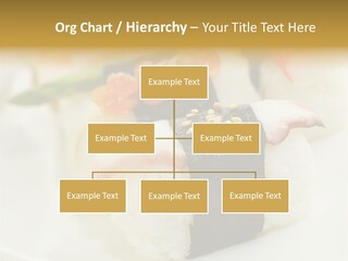 Nori Rolle Sesam PowerPoint Template