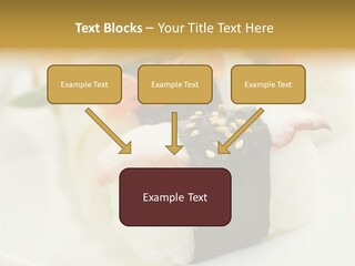 Nori Rolle Sesam PowerPoint Template