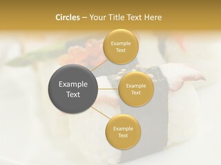 Nori Rolle Sesam PowerPoint Template