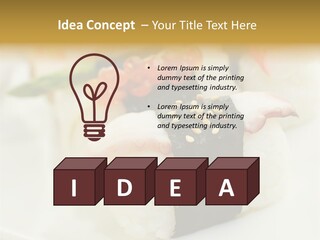 Nori Rolle Sesam PowerPoint Template