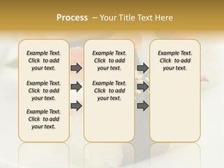 Nori Rolle Sesam PowerPoint Template