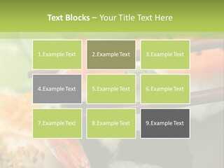 Noribl Spezialit Thunfisch PowerPoint Template