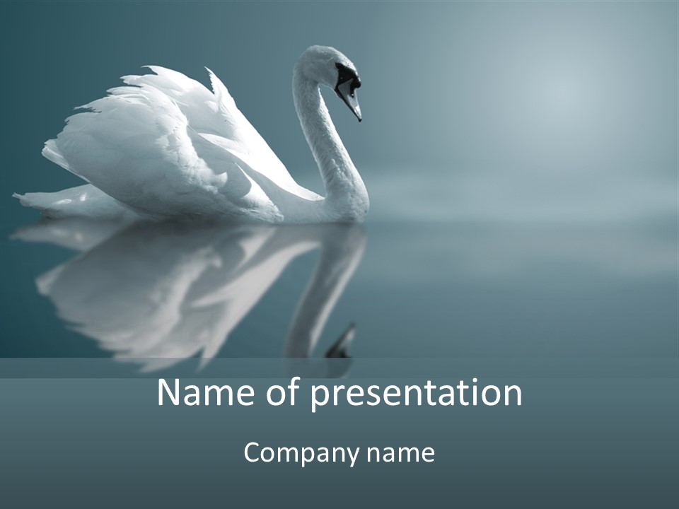 Arts Water Profile PowerPoint Template
