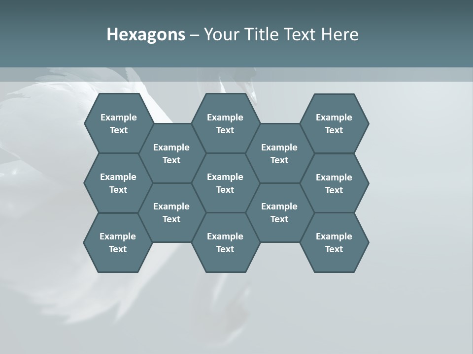 Arts Water Profile PowerPoint Template