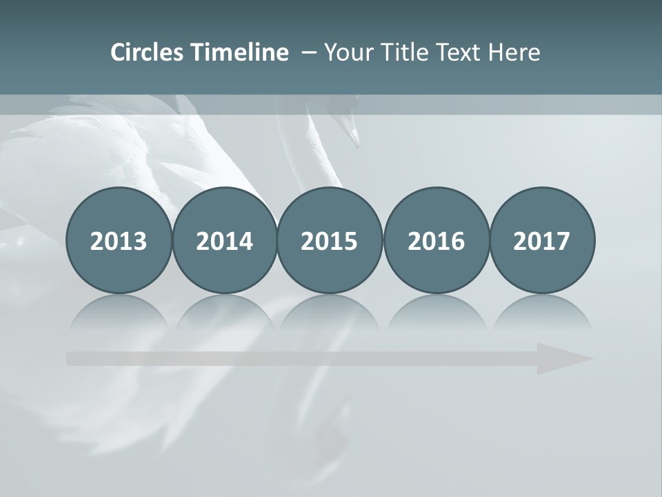 Arts Water Profile PowerPoint Template