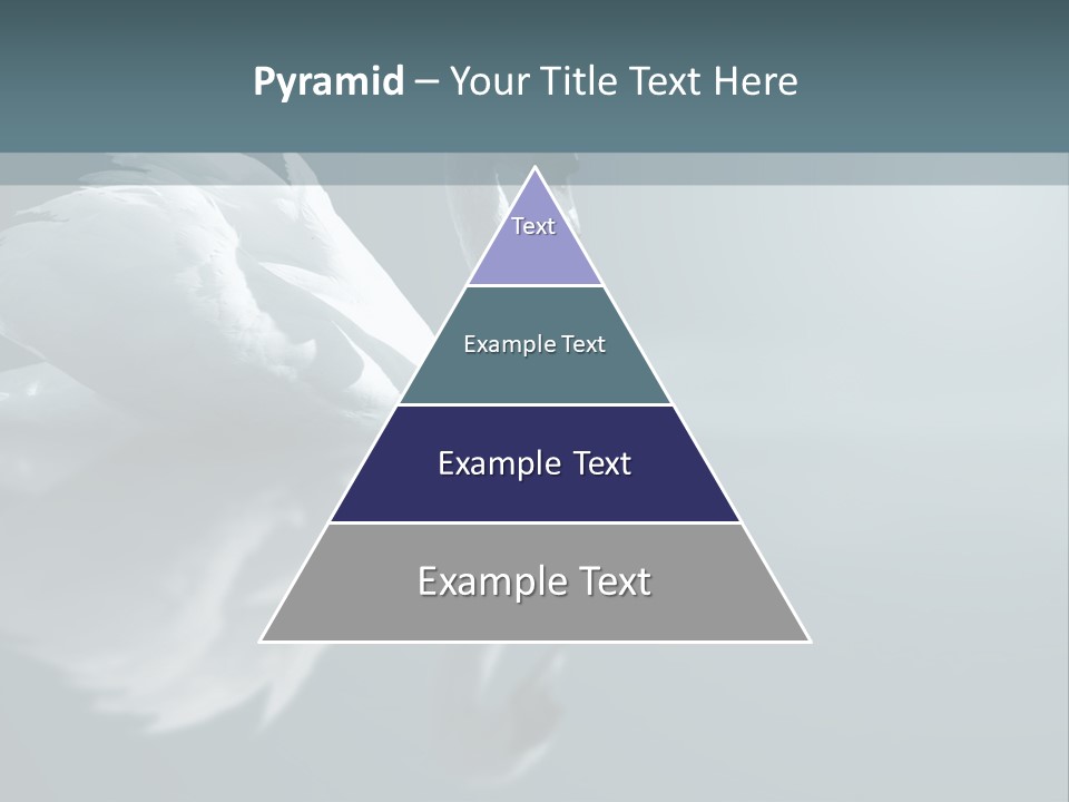 Arts Water Profile PowerPoint Template