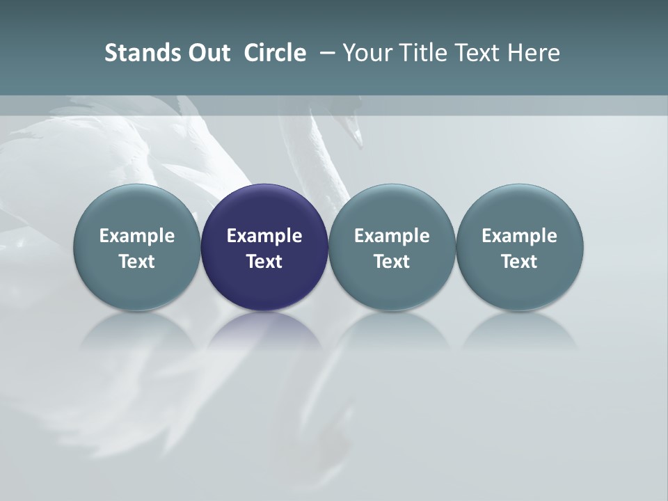 Arts Water Profile PowerPoint Template