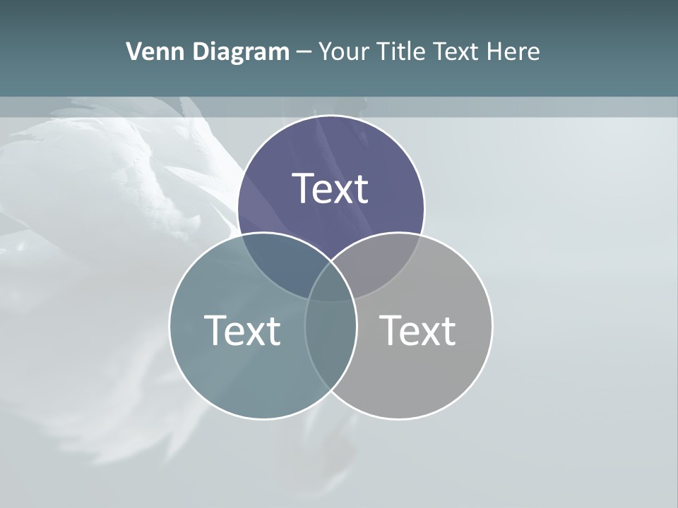 Arts Water Profile PowerPoint Template