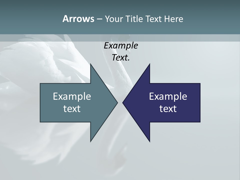 Arts Water Profile PowerPoint Template