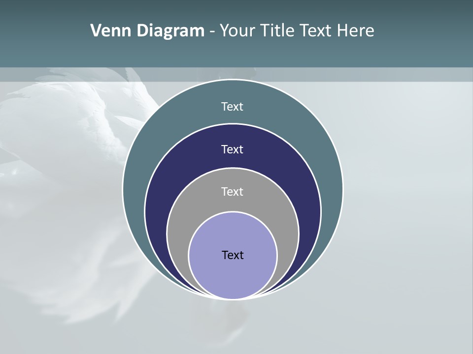 Arts Water Profile PowerPoint Template