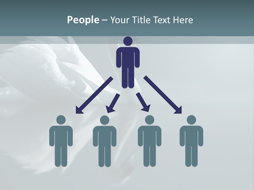 Arts Water Profile PowerPoint Template