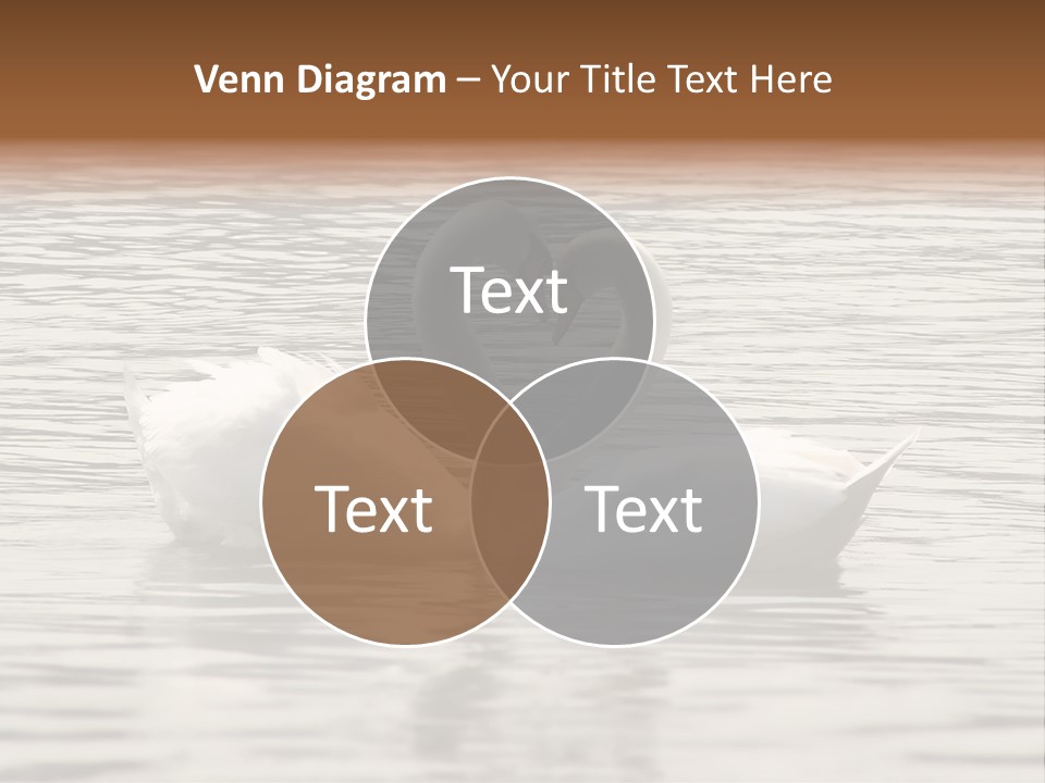 Liebhaber Wasser Urlaub PowerPoint Template