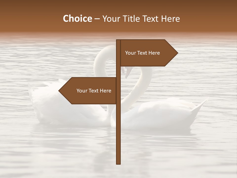 Liebhaber Wasser Urlaub PowerPoint Template