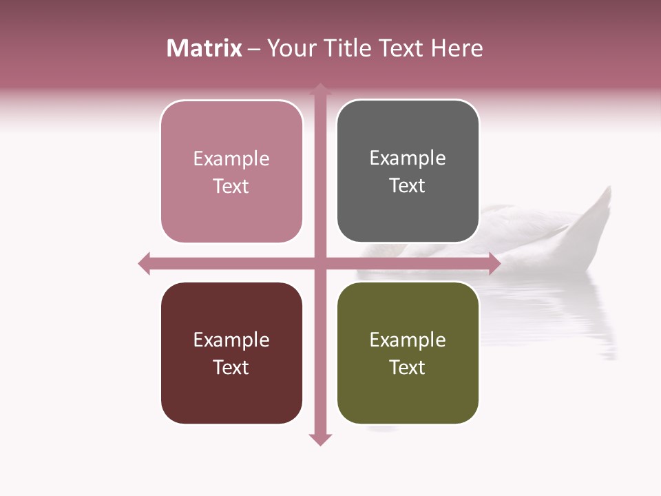 Pristine Beautiful Fidelity PowerPoint Template