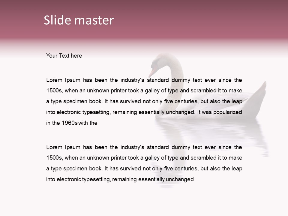 Pristine Beautiful Fidelity PowerPoint Template