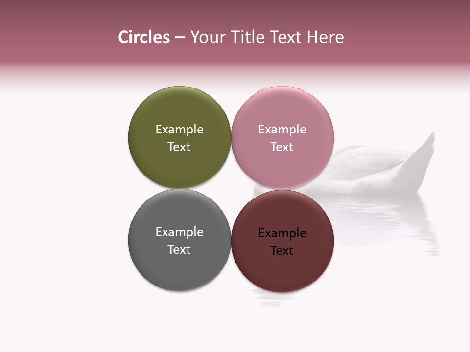 Pristine Beautiful Fidelity PowerPoint Template