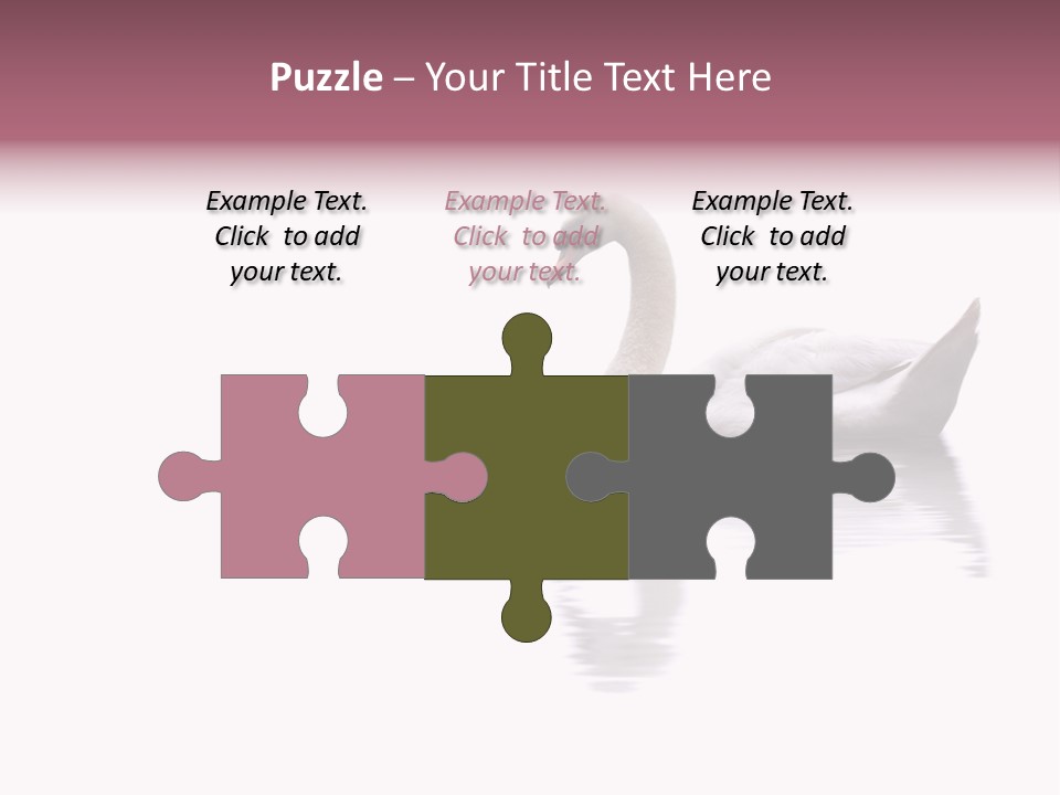 Pristine Beautiful Fidelity PowerPoint Template