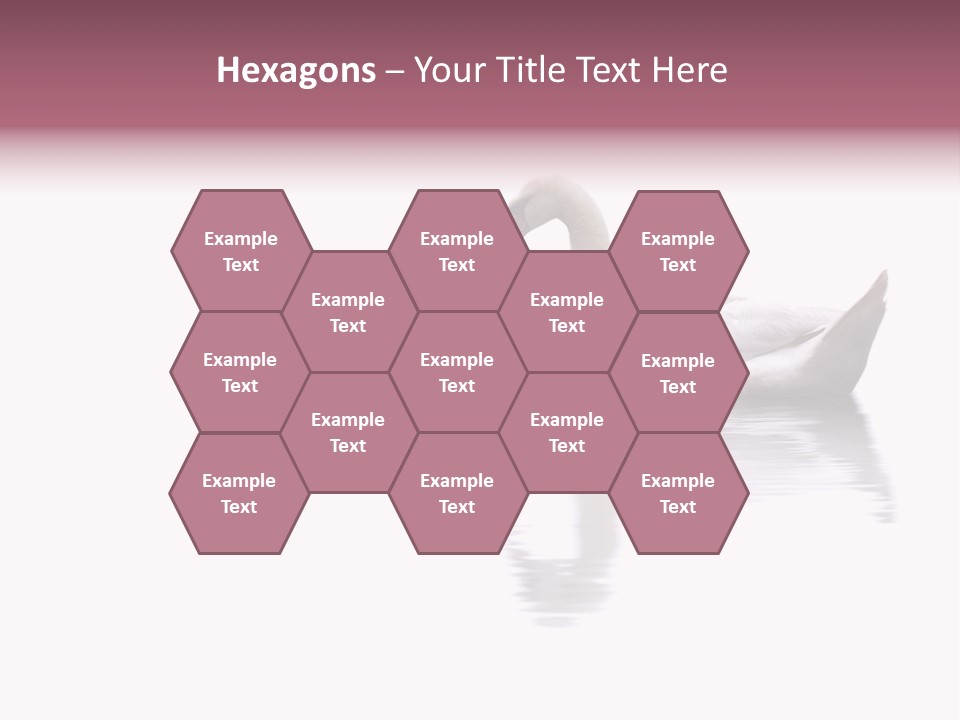 Pristine Beautiful Fidelity PowerPoint Template