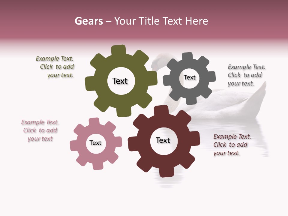 Pristine Beautiful Fidelity PowerPoint Template