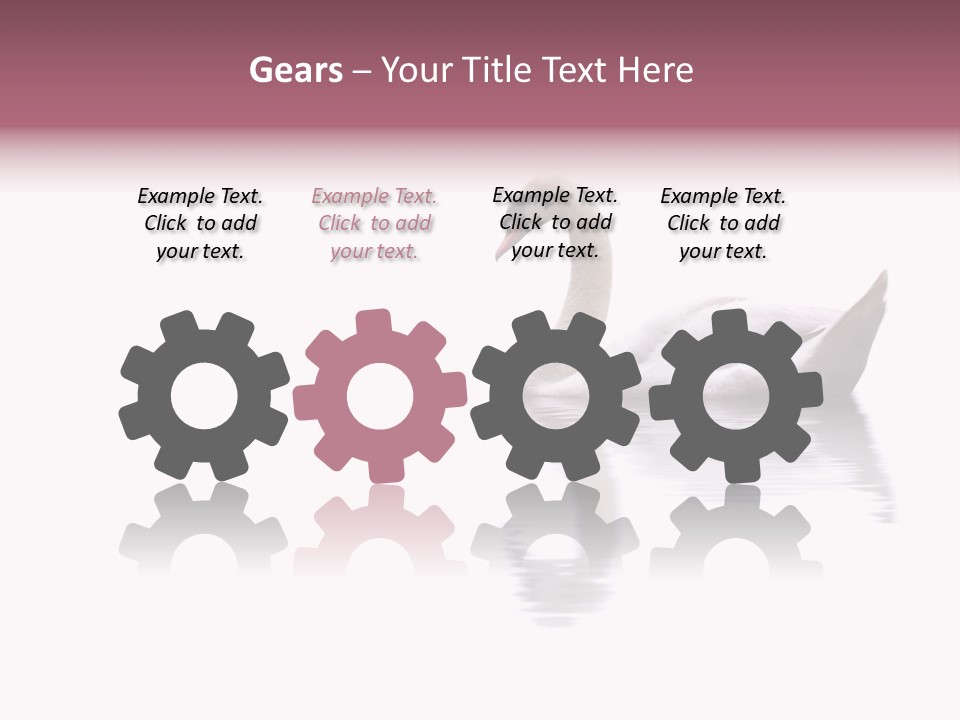 Pristine Beautiful Fidelity PowerPoint Template