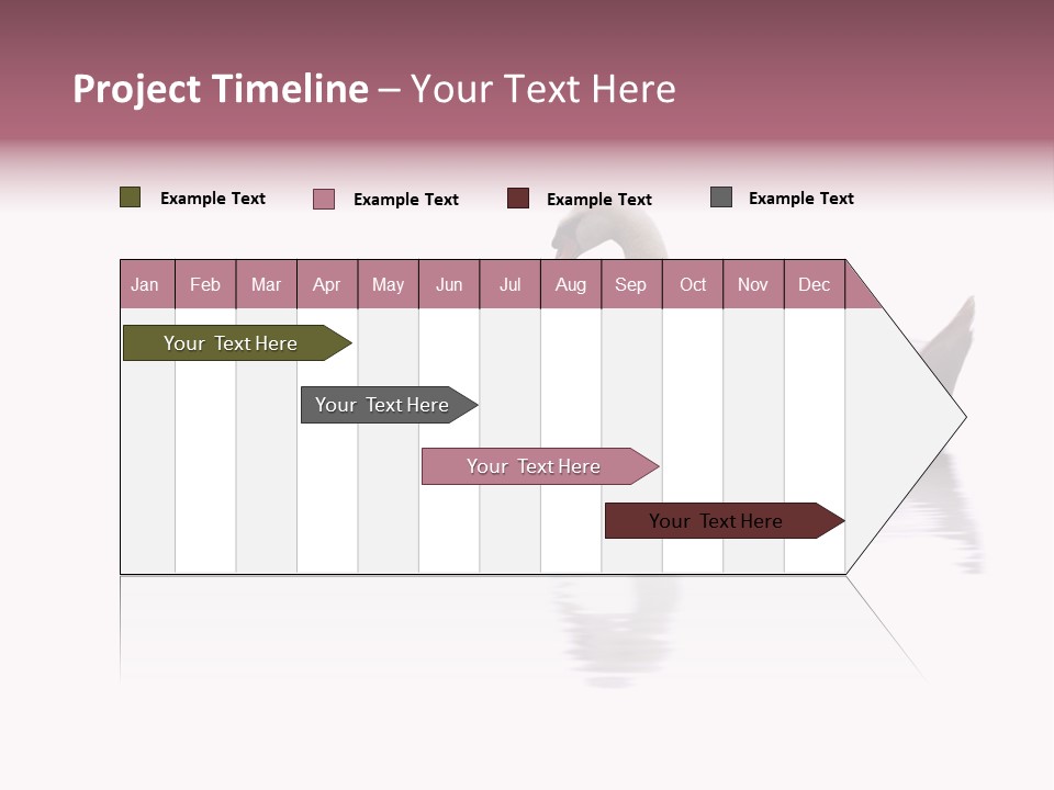 Pristine Beautiful Fidelity PowerPoint Template