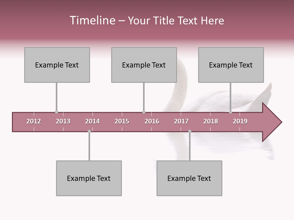 Pristine Beautiful Fidelity PowerPoint Template