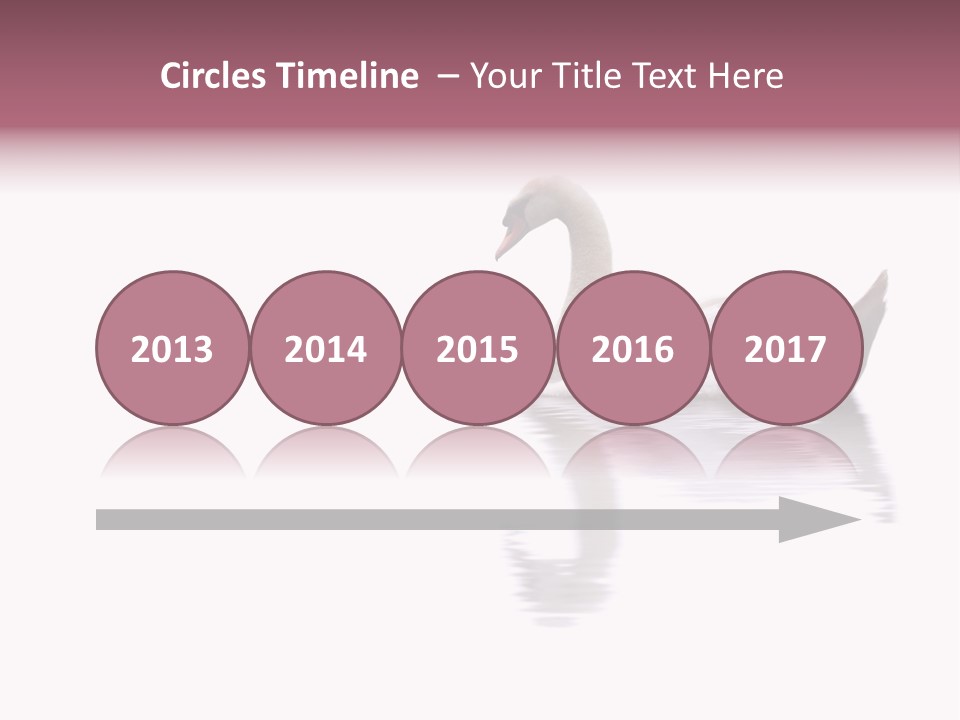 Pristine Beautiful Fidelity PowerPoint Template