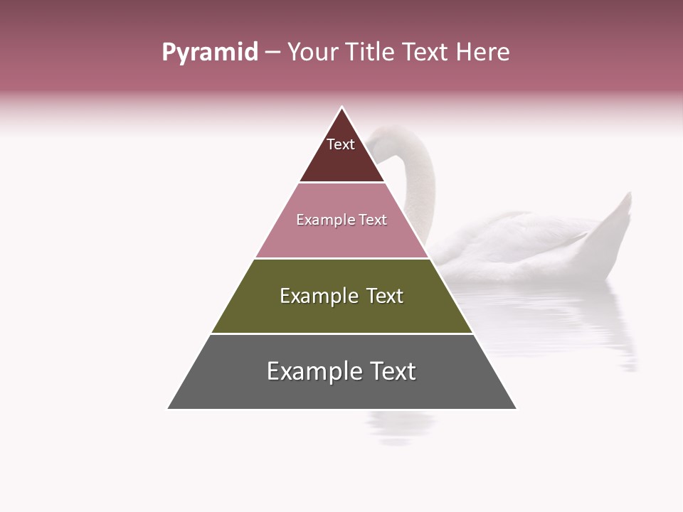 Pristine Beautiful Fidelity PowerPoint Template