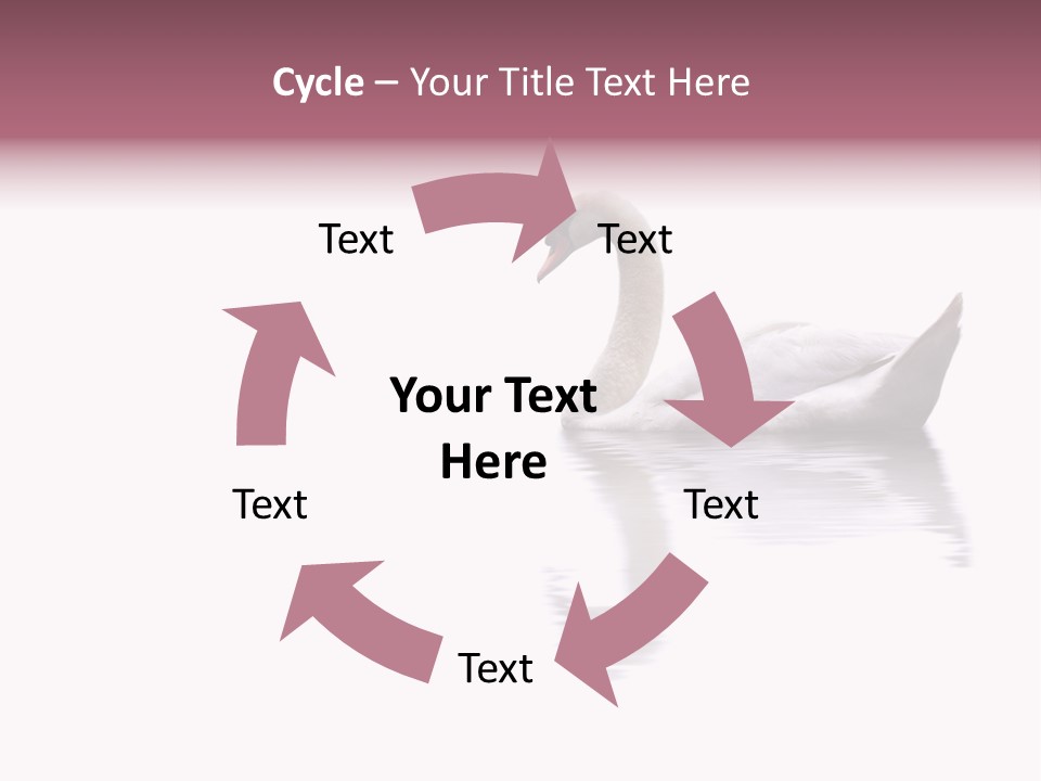 Pristine Beautiful Fidelity PowerPoint Template