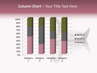 Pristine Beautiful Fidelity PowerPoint Template