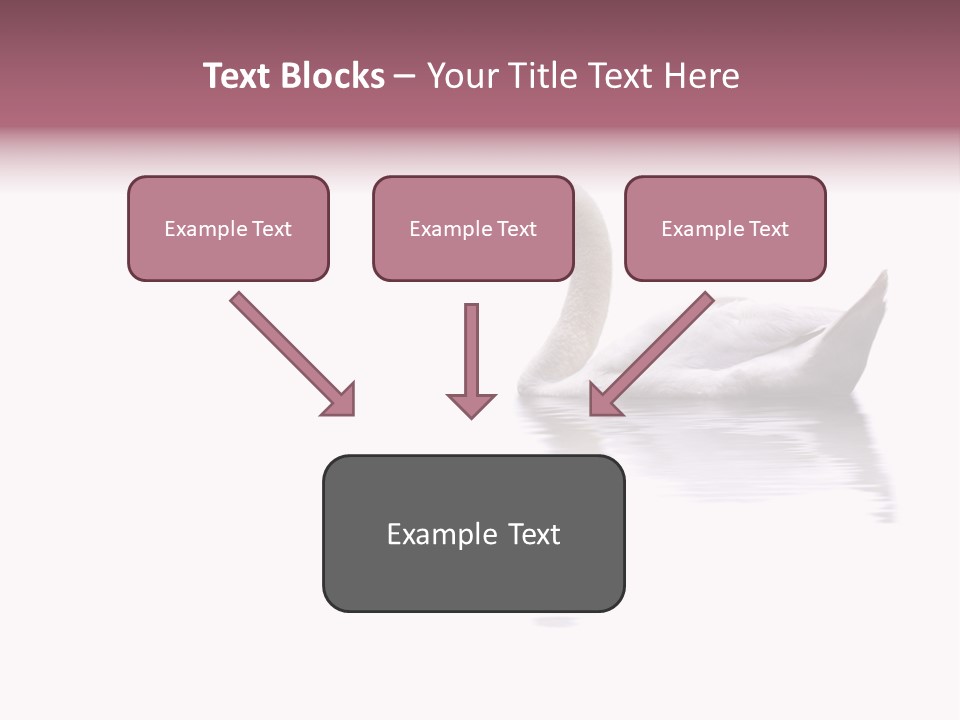 Pristine Beautiful Fidelity PowerPoint Template