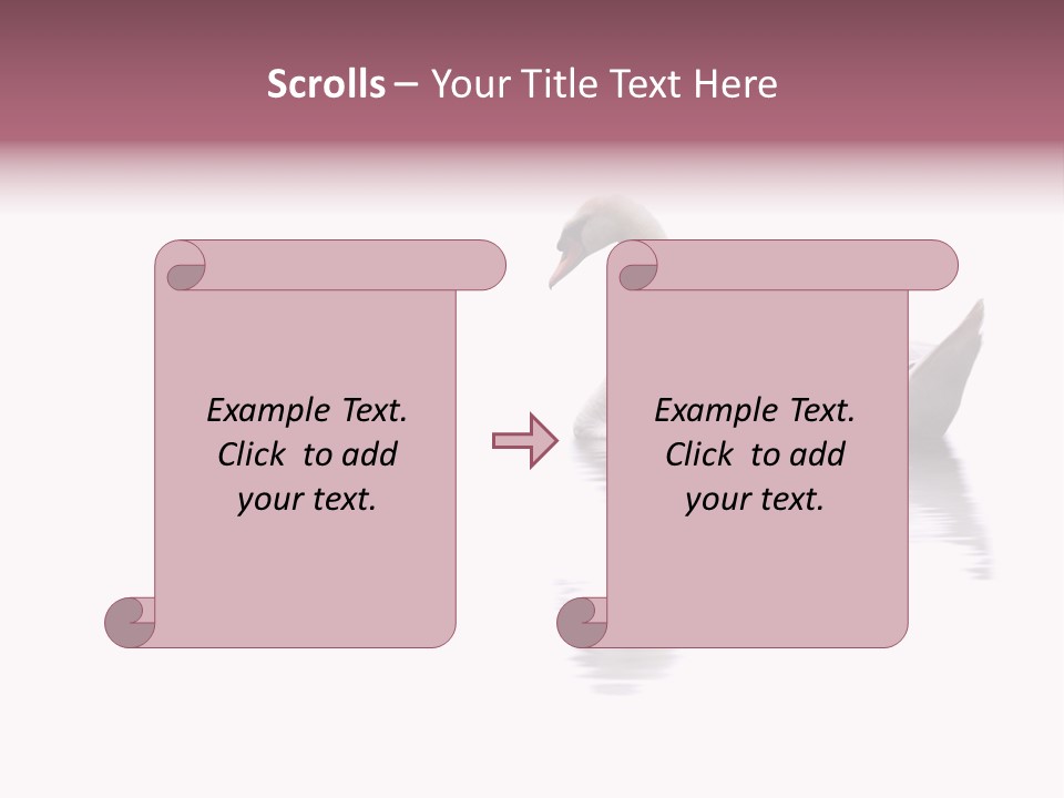 Pristine Beautiful Fidelity PowerPoint Template