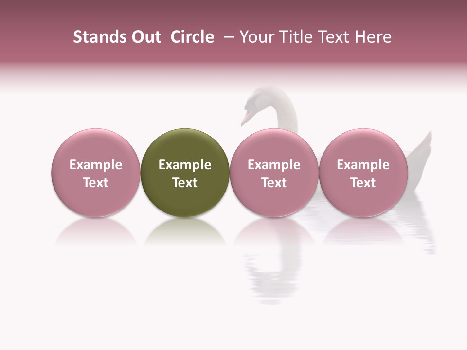 Pristine Beautiful Fidelity PowerPoint Template