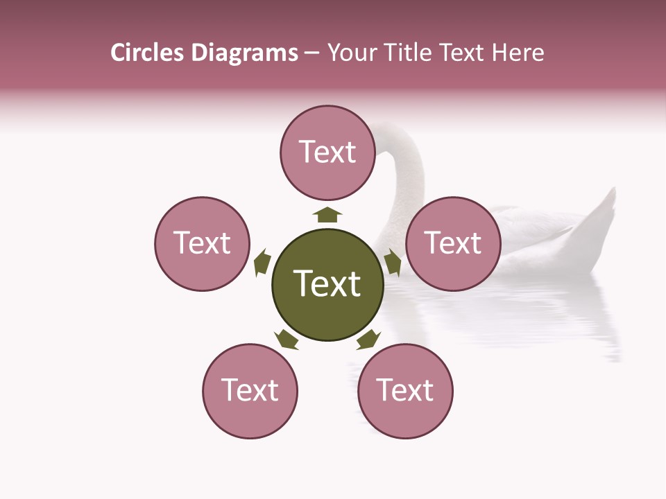 Pristine Beautiful Fidelity PowerPoint Template