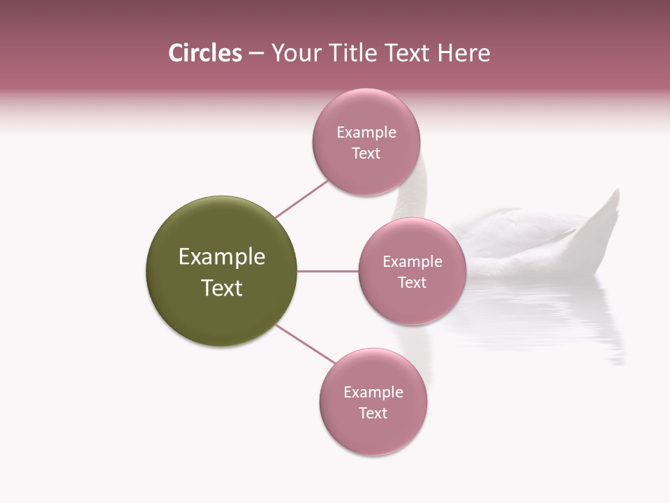 Pristine Beautiful Fidelity PowerPoint Template