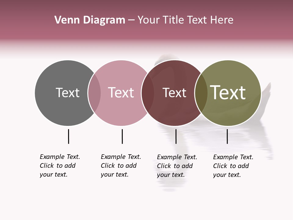 Pristine Beautiful Fidelity PowerPoint Template