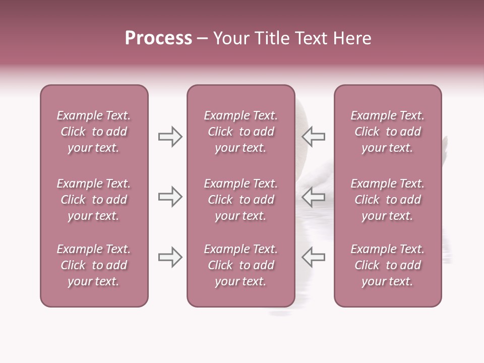 Pristine Beautiful Fidelity PowerPoint Template