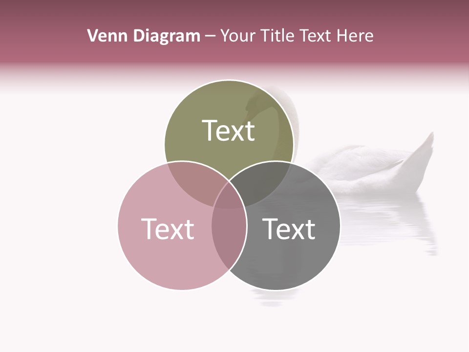 Pristine Beautiful Fidelity PowerPoint Template