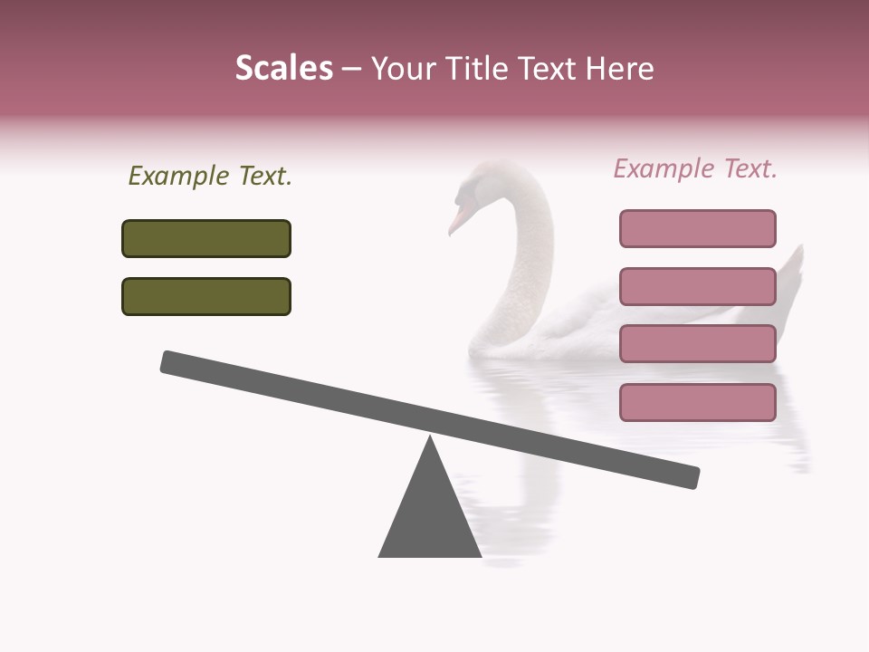 Pristine Beautiful Fidelity PowerPoint Template