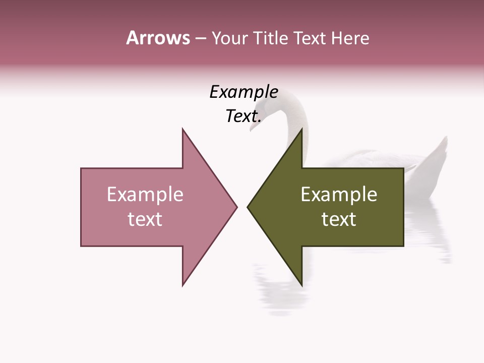 Pristine Beautiful Fidelity PowerPoint Template