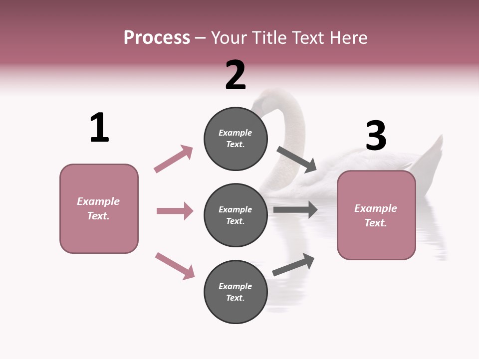 Pristine Beautiful Fidelity PowerPoint Template