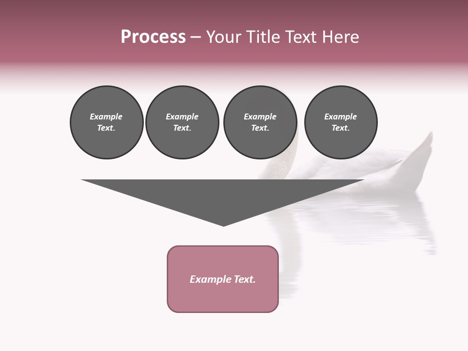 Pristine Beautiful Fidelity PowerPoint Template