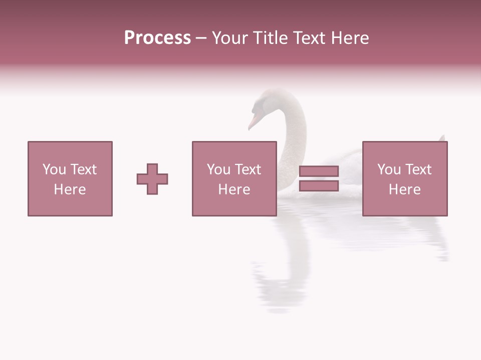 Pristine Beautiful Fidelity PowerPoint Template