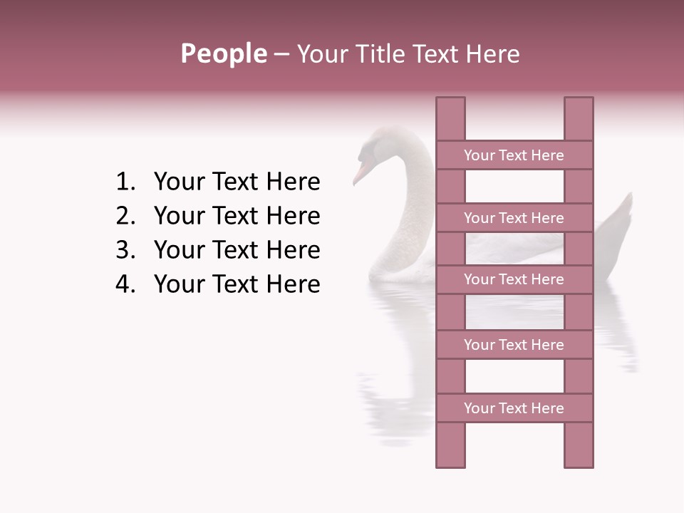 Pristine Beautiful Fidelity PowerPoint Template