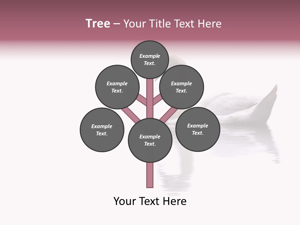 Pristine Beautiful Fidelity PowerPoint Template