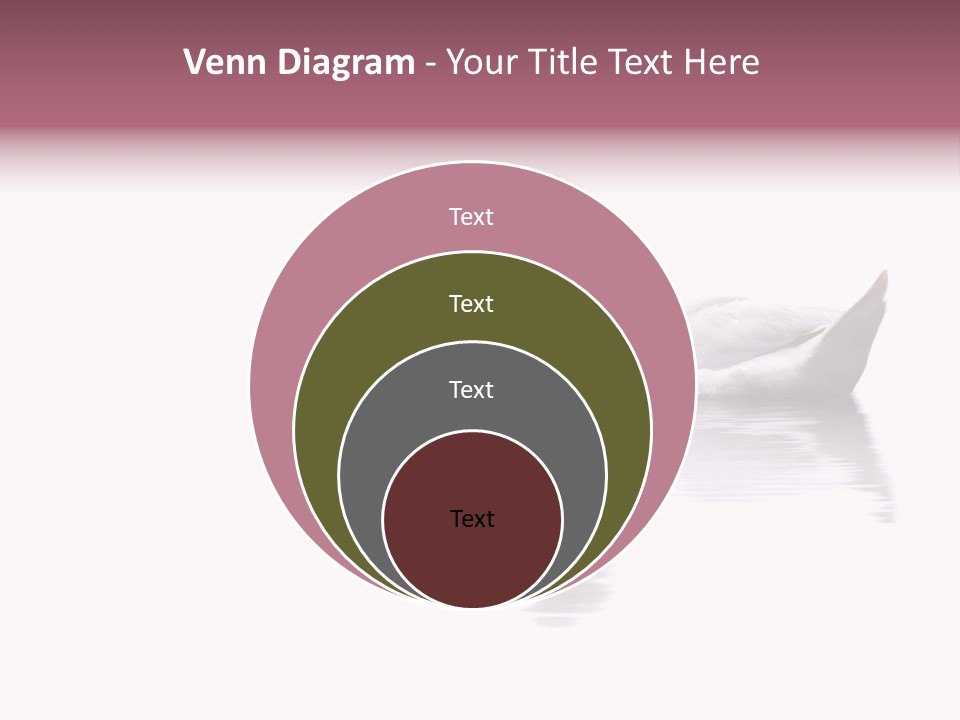 Pristine Beautiful Fidelity PowerPoint Template