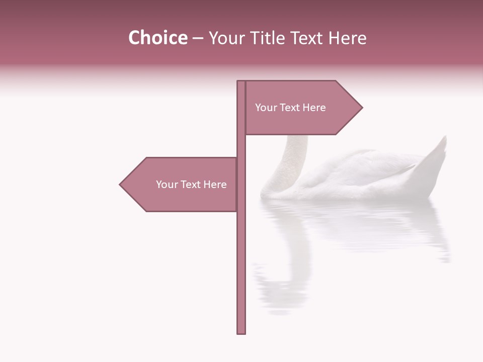 Pristine Beautiful Fidelity PowerPoint Template